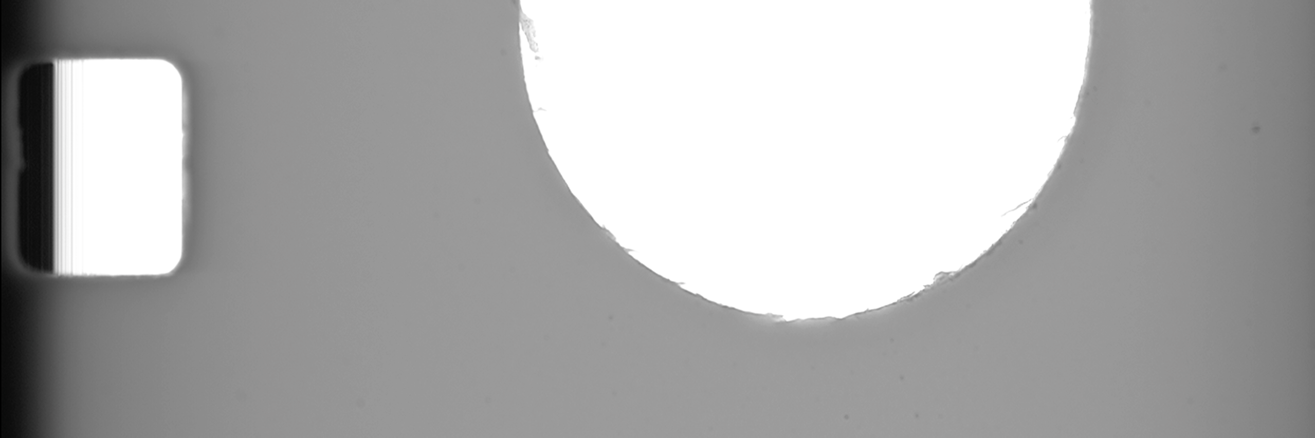 dhridge's profile banner image