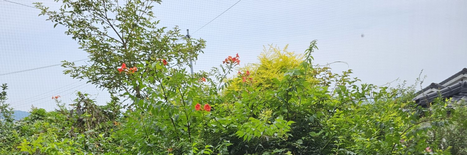 Fuchsia0502's profile banner image