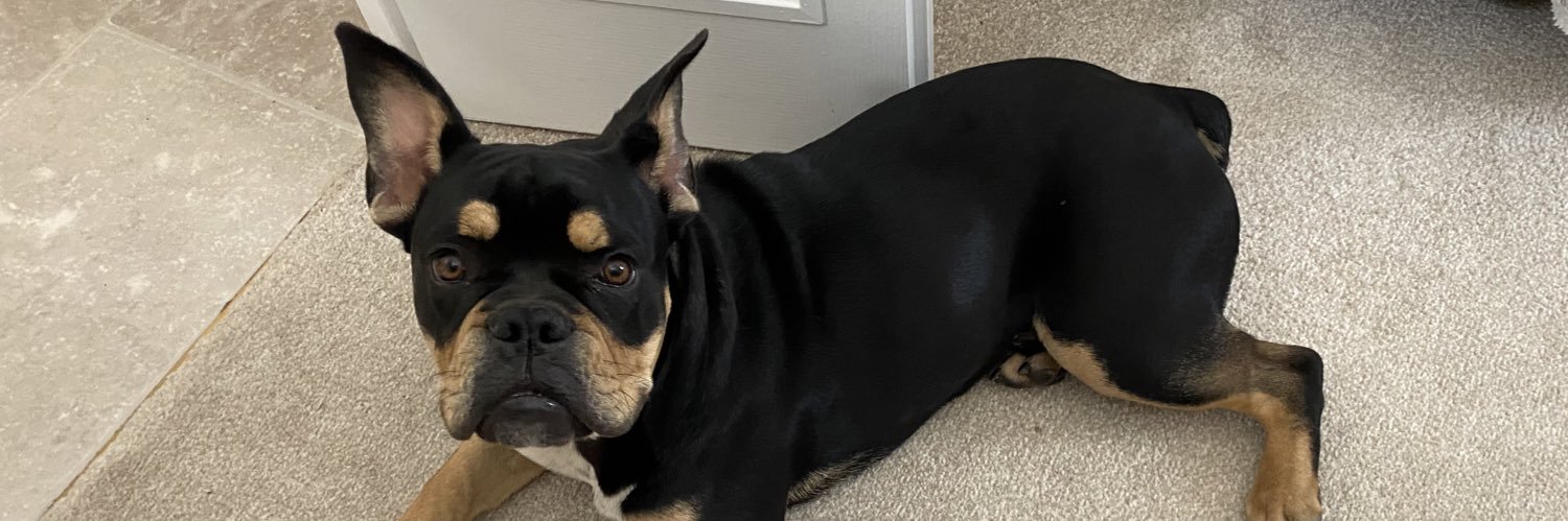 Vinnie Bones banner