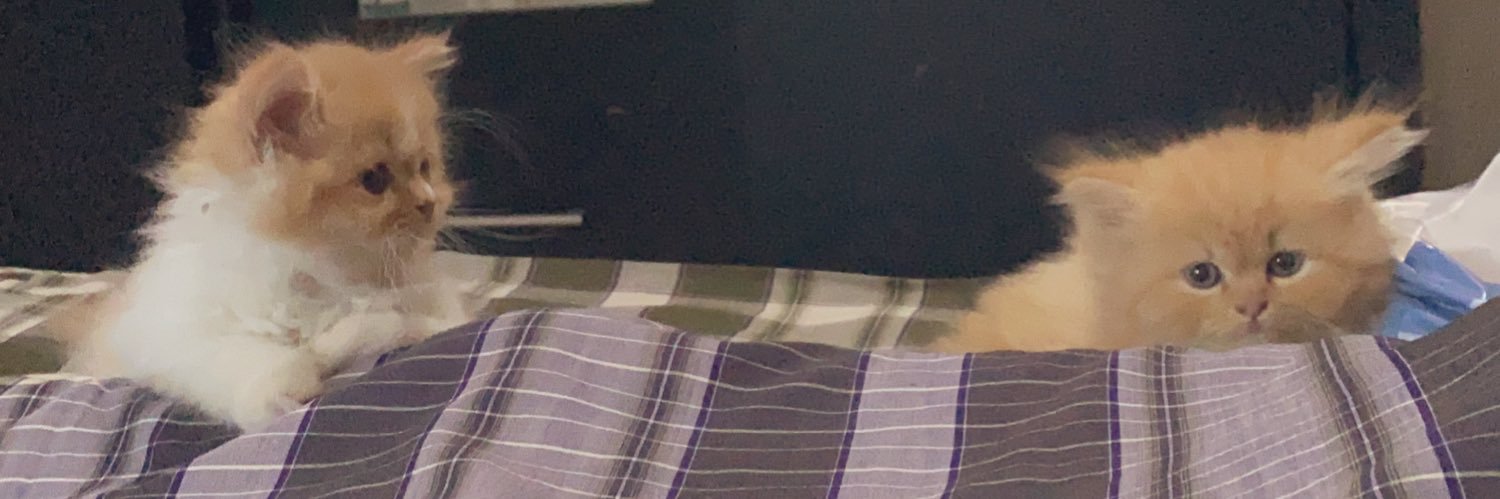 Nabillahrr's profile banner image