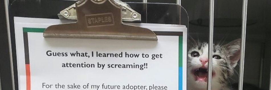 Phartonium (parti ailleurs) banner