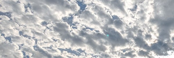 pinponhole8514 Profile Banner