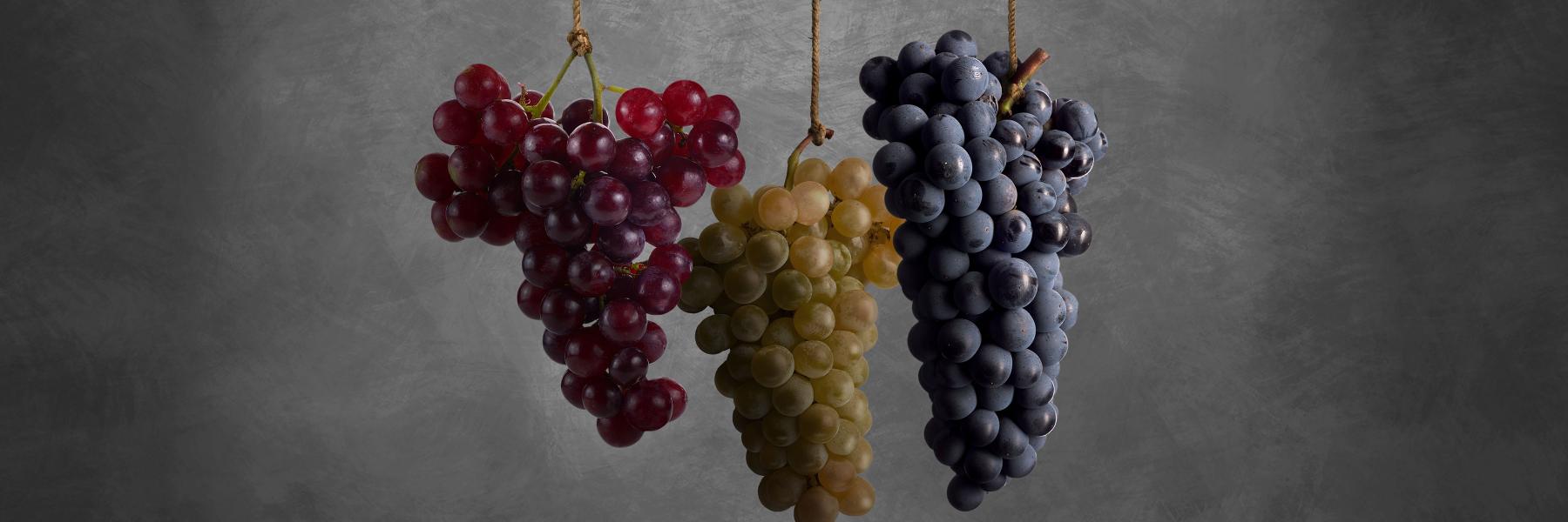 PMartellozzo's profile banner image