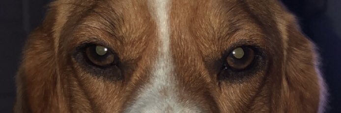 TheDuder8's profile banner image