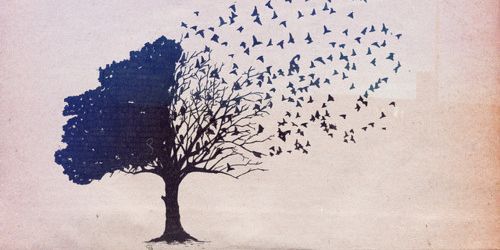 _nrfthh's profile banner image