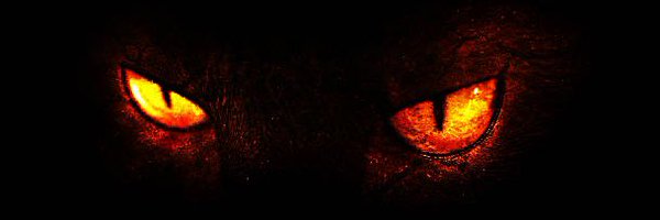 Bxnditxl Profile Banner