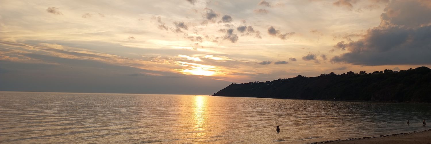 poussin3000🐣🏳️‍🌈 banner