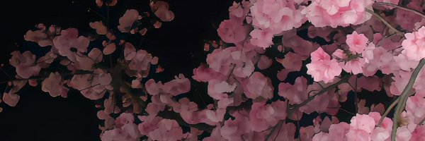 cccnsmxa Profile Banner