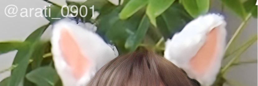 りん banner