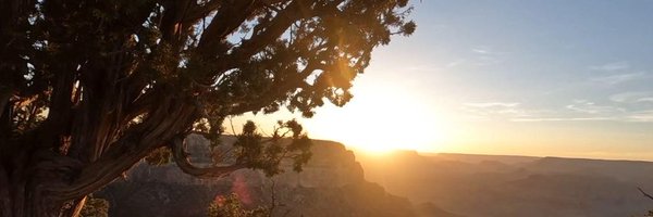 wornwoodsession Profile Banner