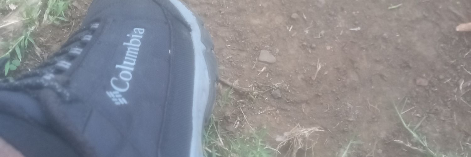 Blind follower 🧑‍🦯🧑‍🦯 banner