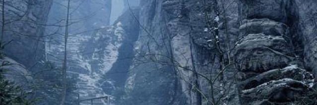 CrowWilliford's profile banner image