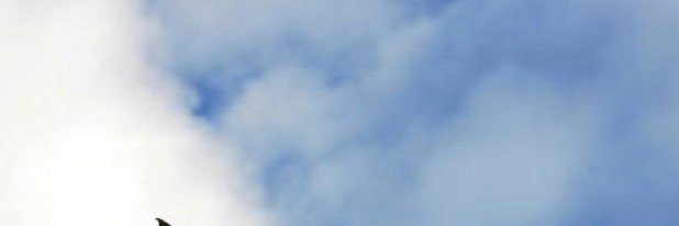 Pete77's profile banner image