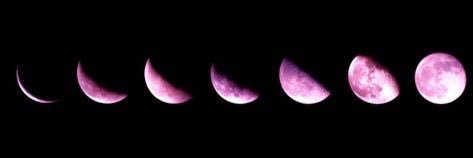 1993_Crystal's profile banner image