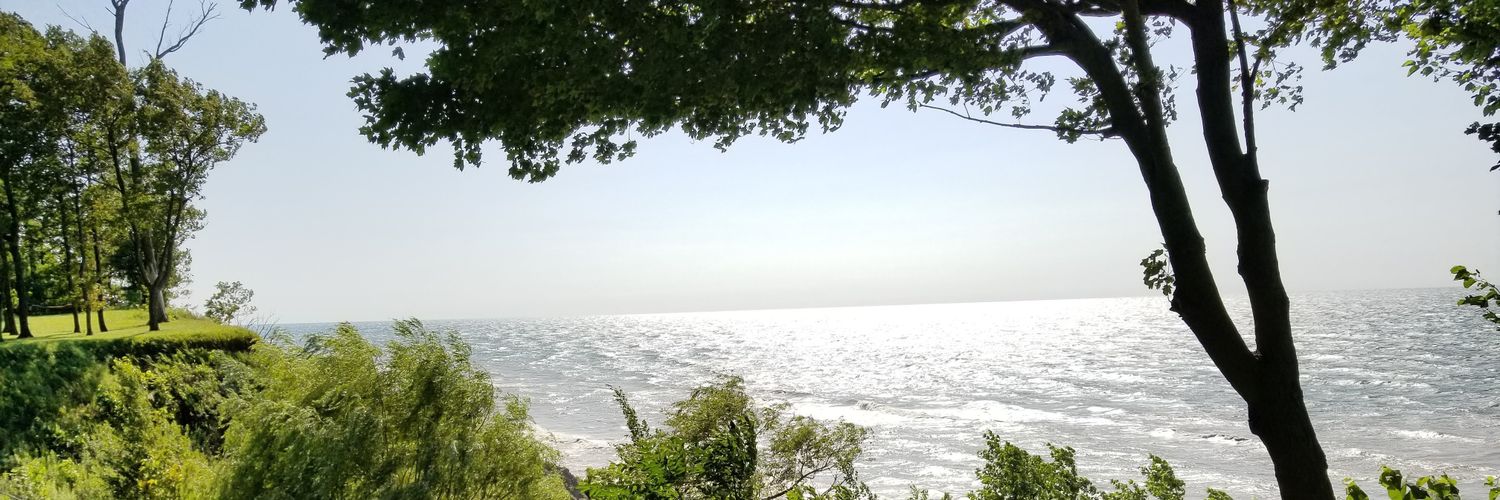 Merideth Freiheit banner