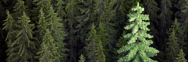 metsalehti Profile Banner