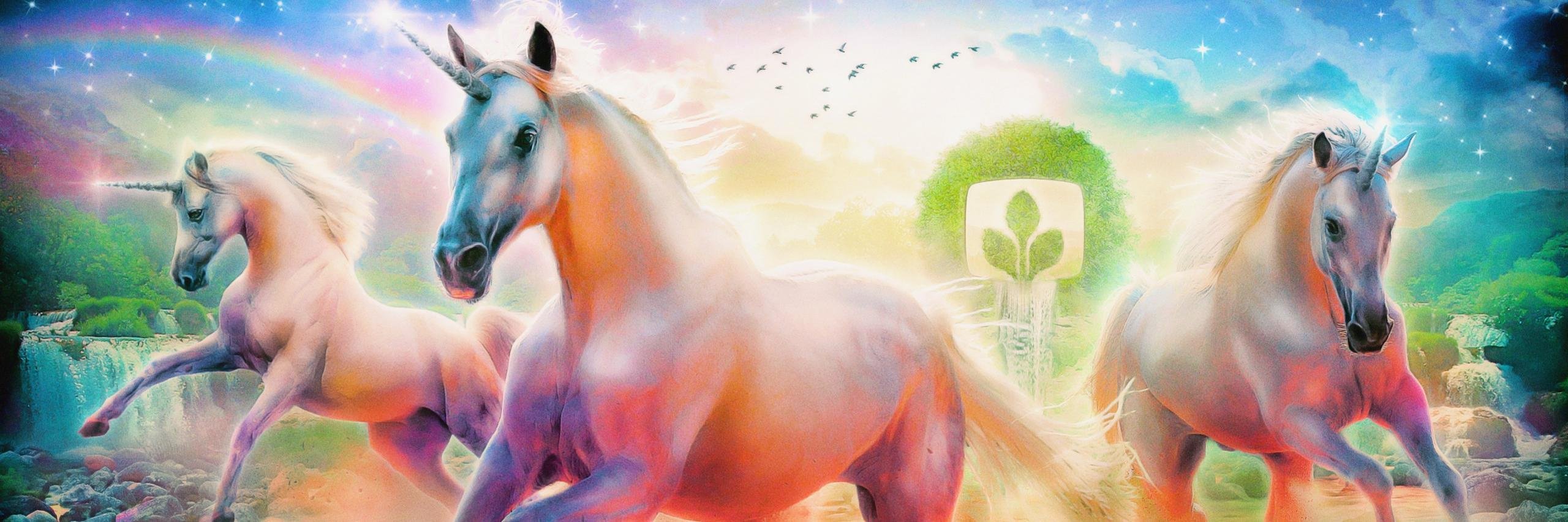 GeraldineKitch's profile banner image