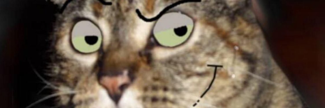 leevardi's profile banner image