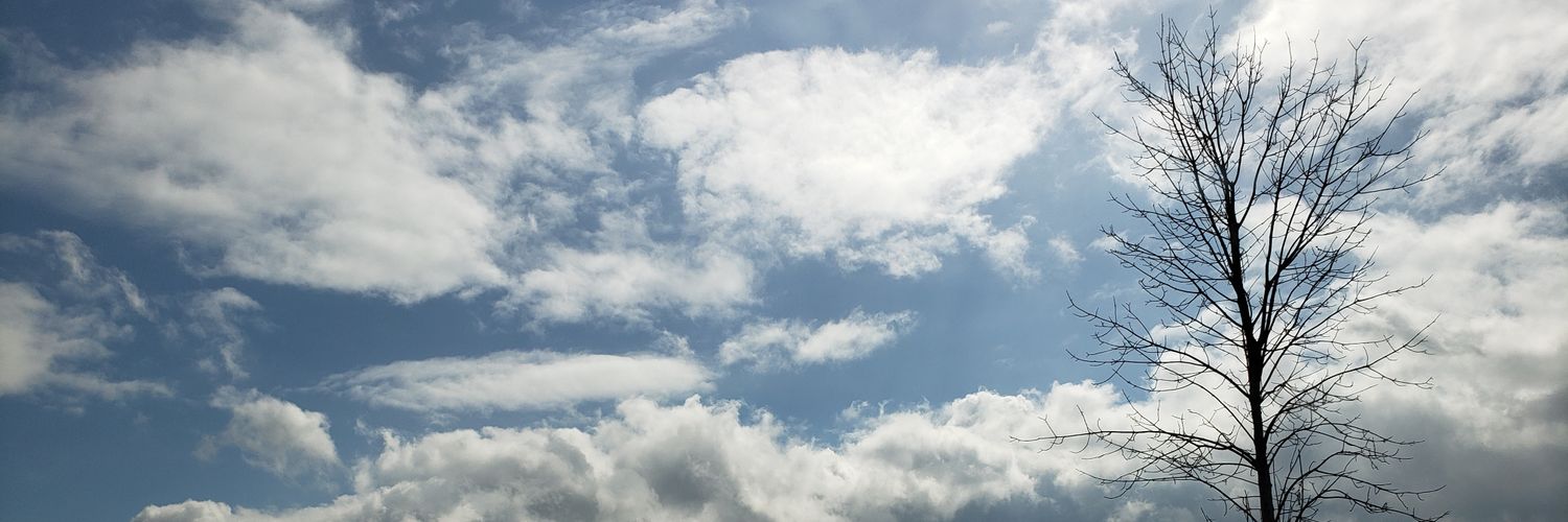 ivorygrace7's profile banner image