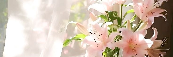 ️️ ️️ ️️ ️️ banner