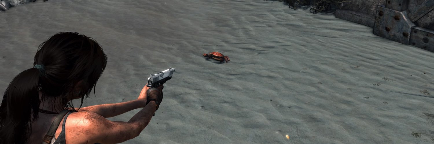 zanelaurent's profile banner image