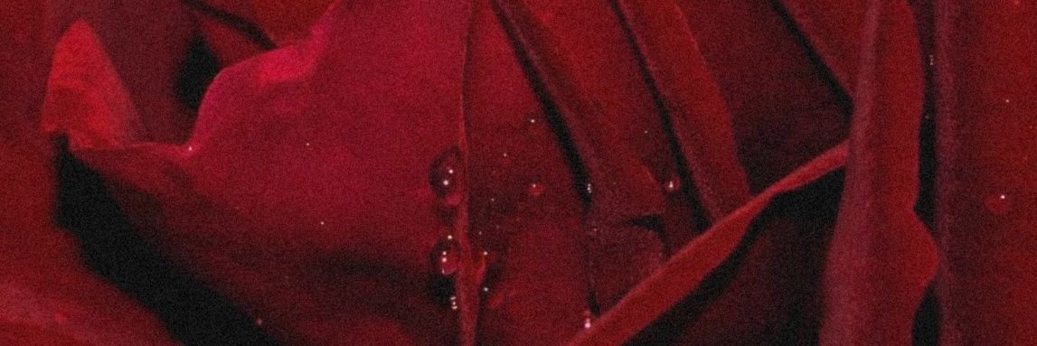 Lord_Undead666's profile banner image