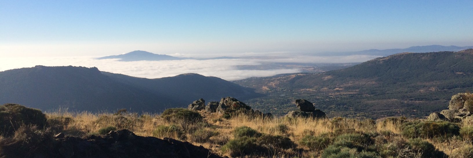 Javier Martínez banner