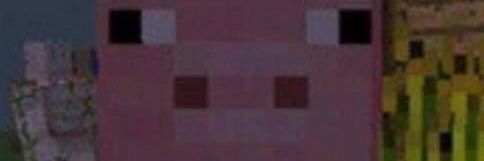 youngbobik banner