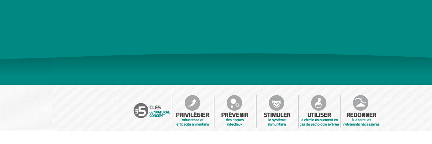 Natural Concept banner