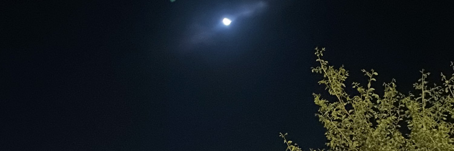 brsteeg96's profile banner image