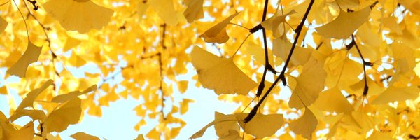 ise_tkrv Profile Banner