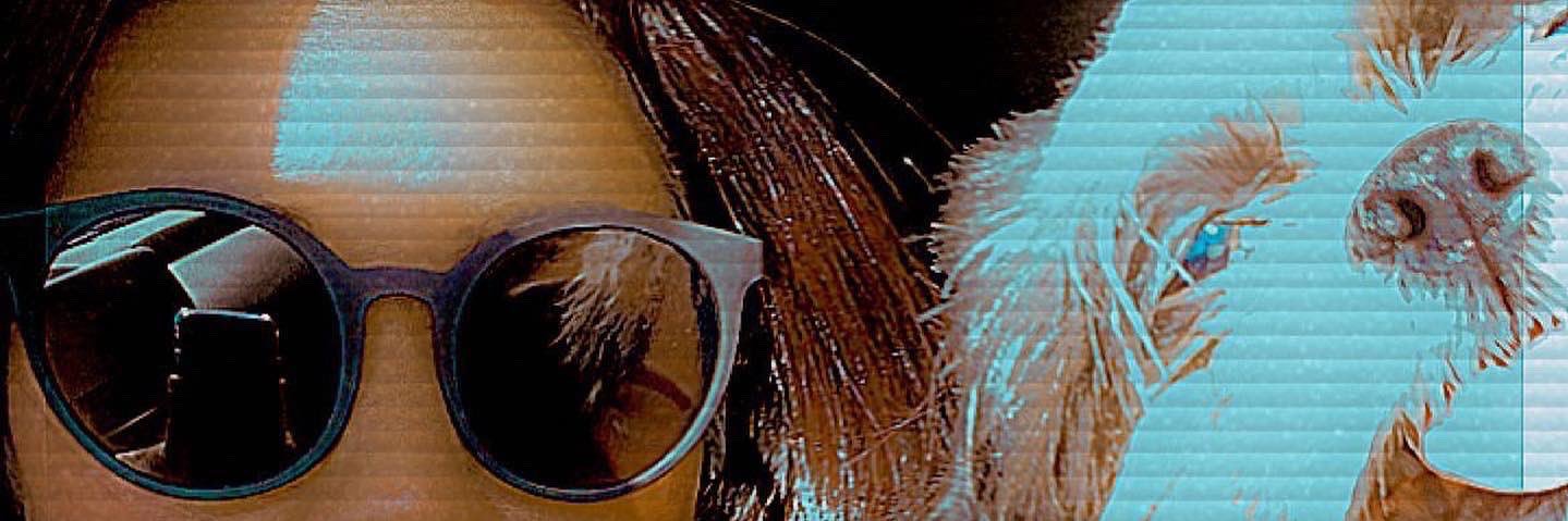 cnk2010's profile banner image