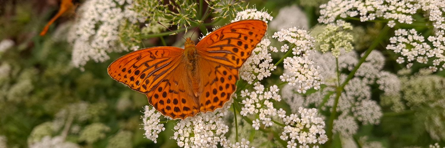 Tanja 🛟 ✝️⚓️💜 banner