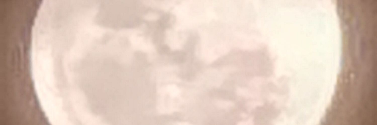 daniel_pitono83's profile banner image