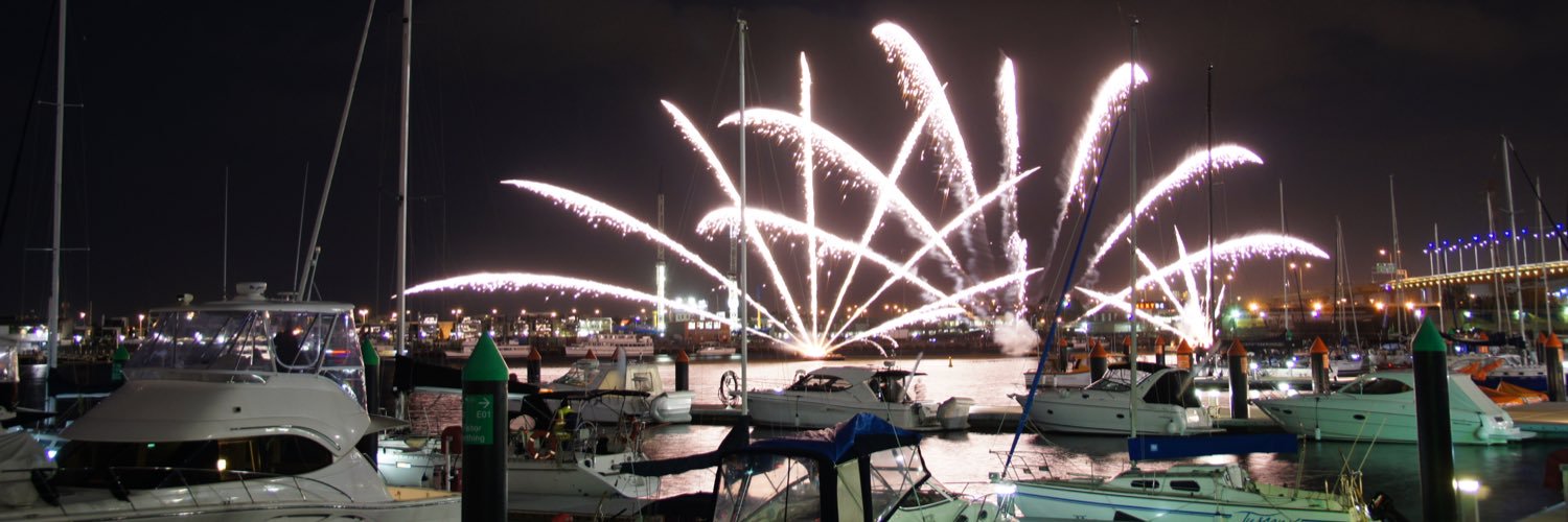 Louise🐾🦊 banner