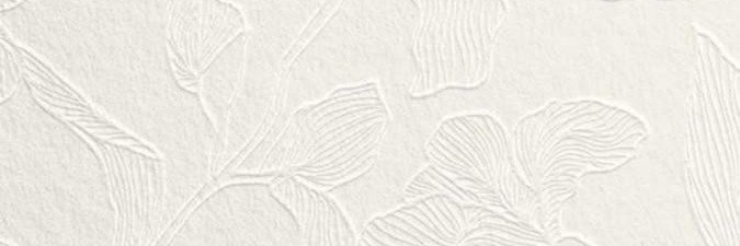 _srbnk's profile banner image