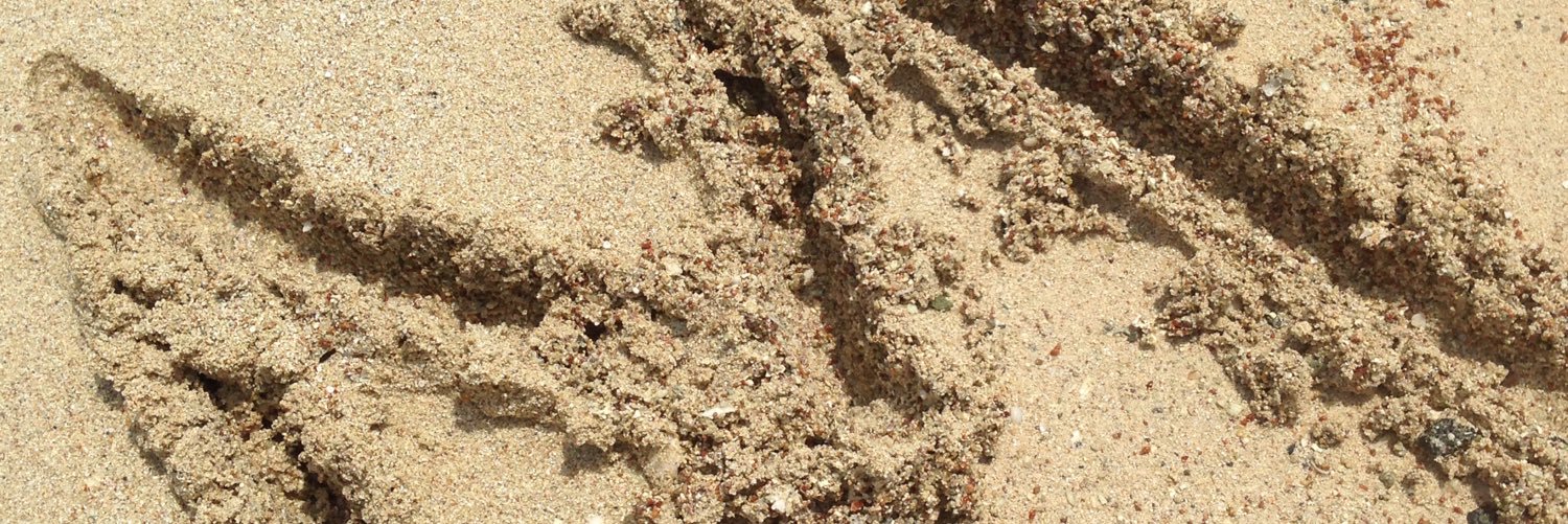 BhMeemo's profile banner image