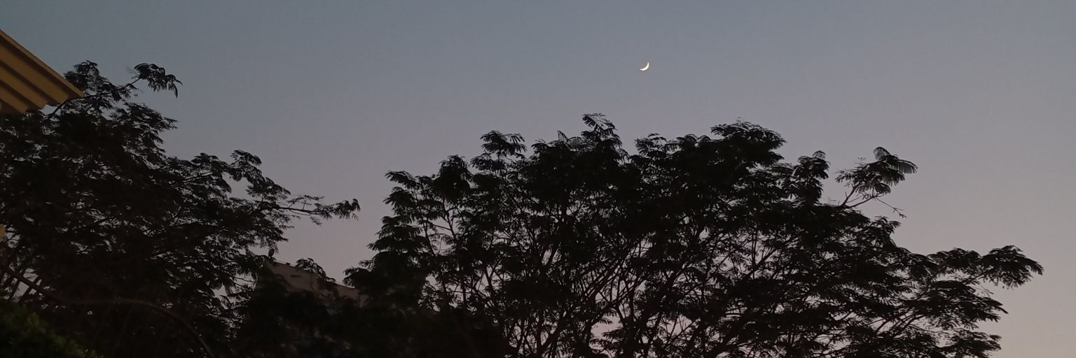 BasmalaGamill's profile banner image