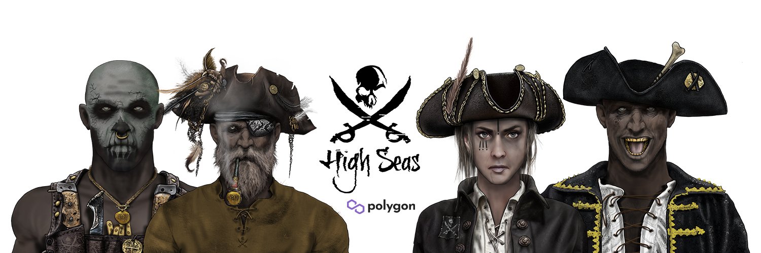 High Seas Pirates 🏴‍☠️ banner