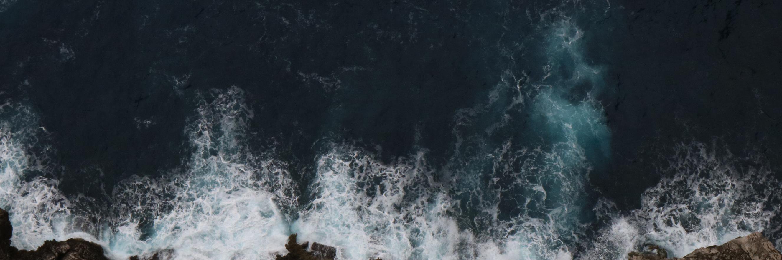 wmermaid's profile banner image