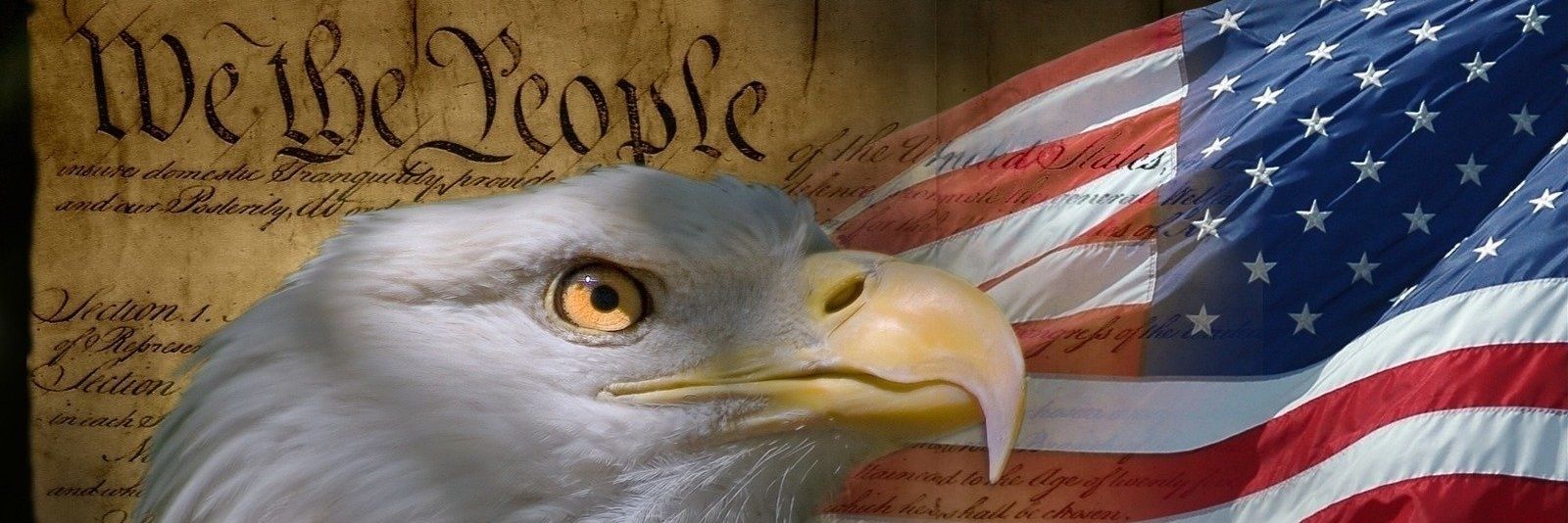Mike Engleman🇺🇲's banner