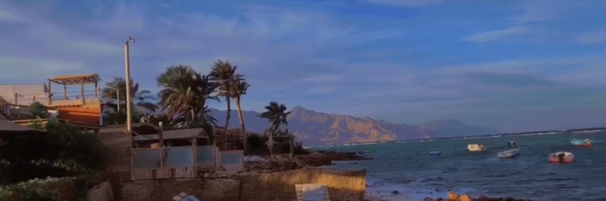 H60006's profile banner image