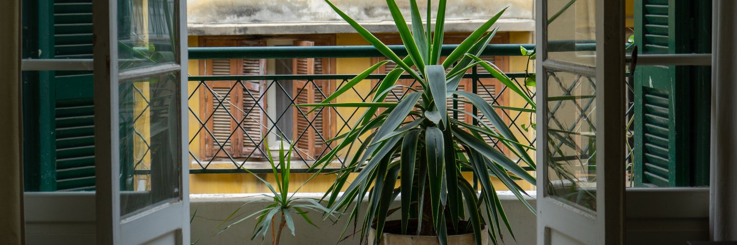 ekcnl's profile banner image