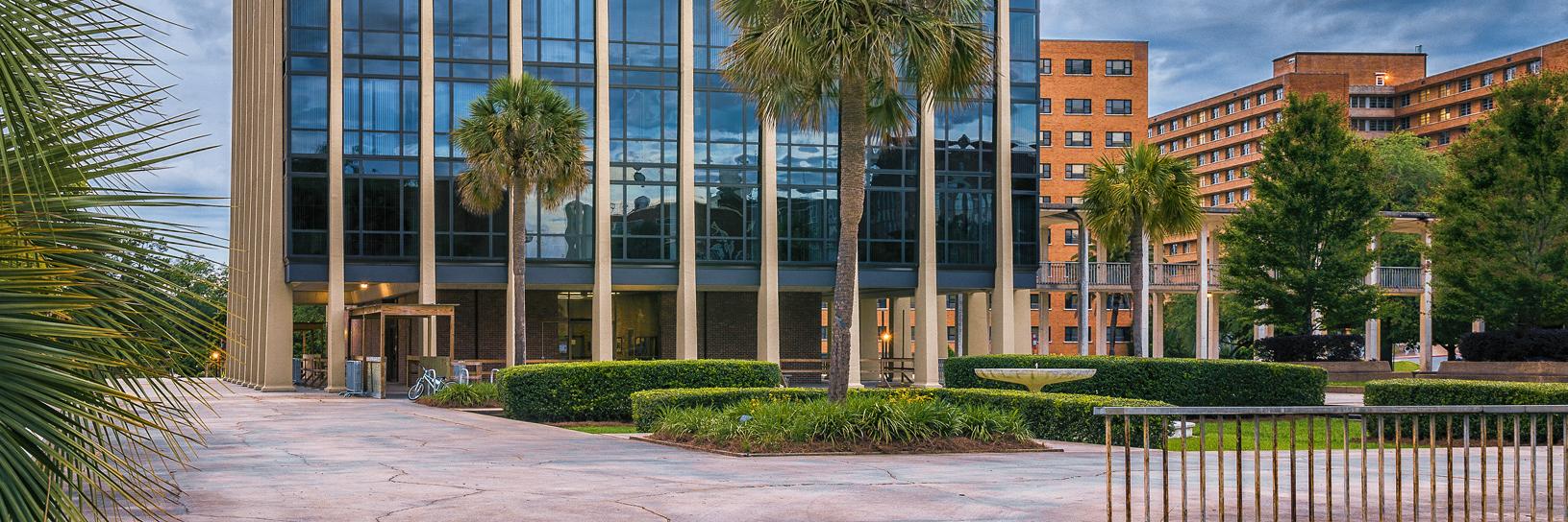 FSU Department of Physics banner