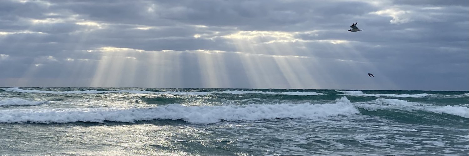 lanesey's profile banner image