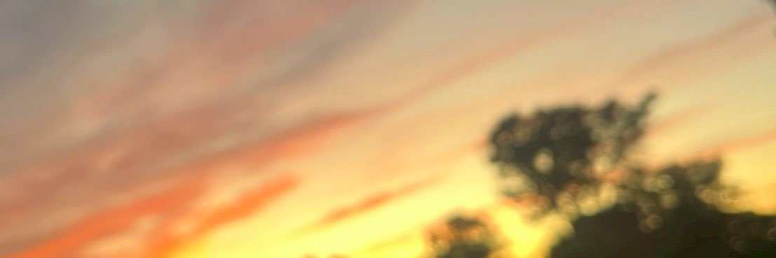 ゆてぃ◂Ⓘ▸ banner
