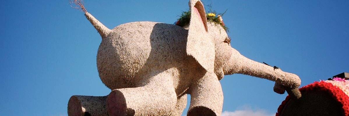 Amber Cornwell Quist banner