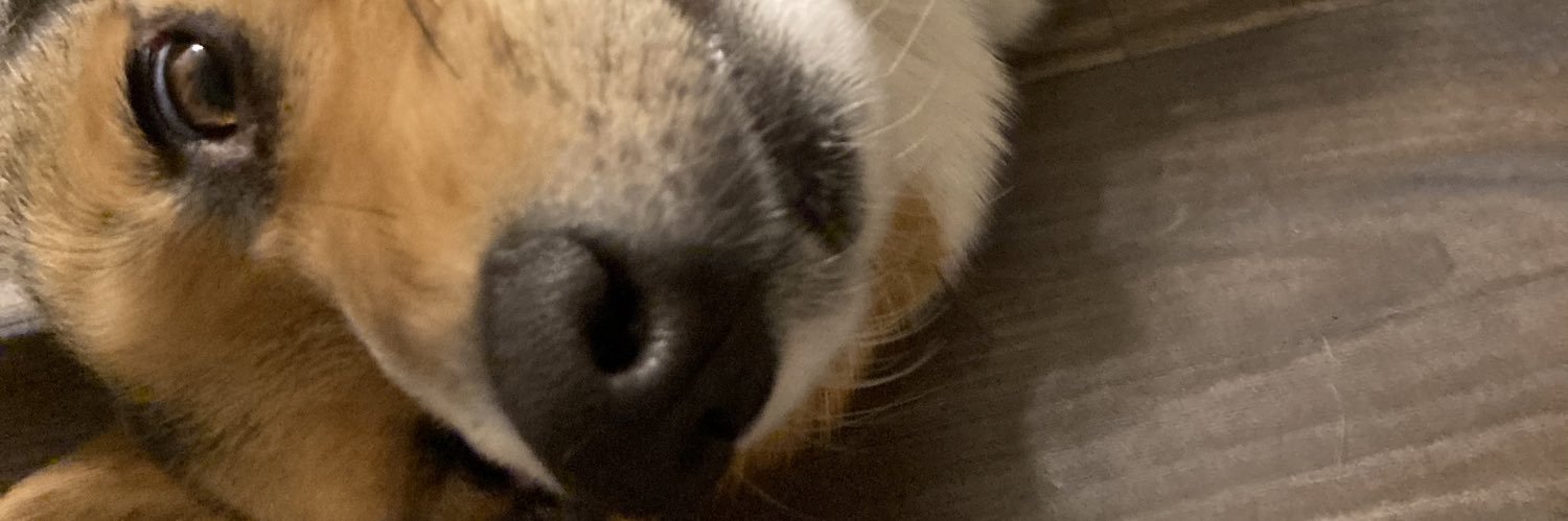 iamfritzyg's profile banner image