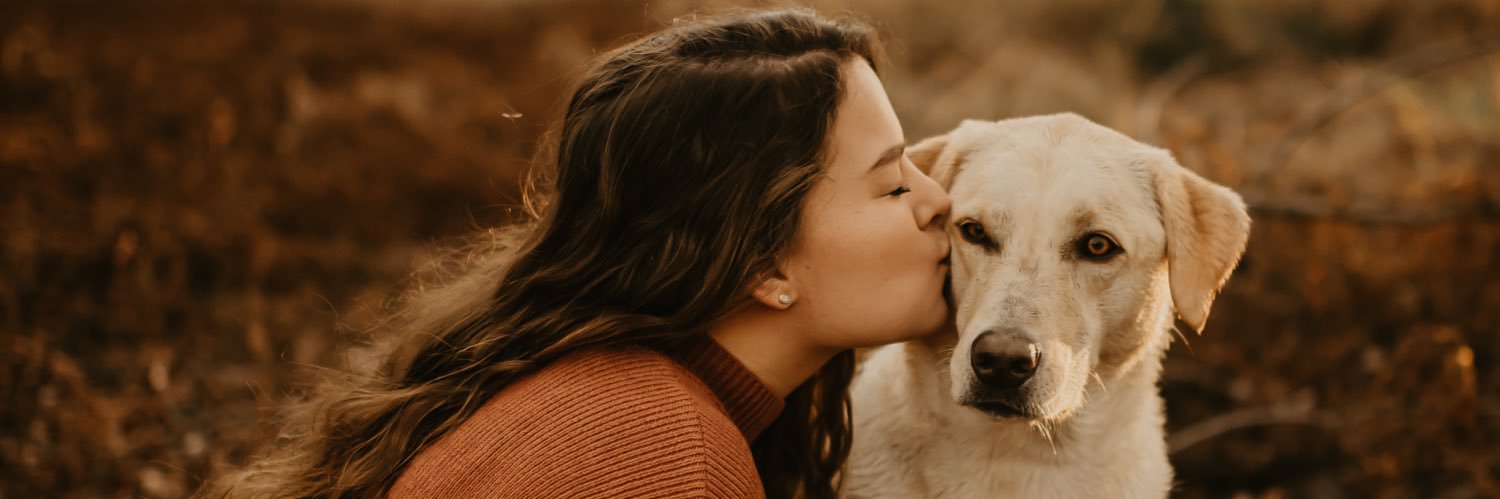 hays_ann's profile banner image