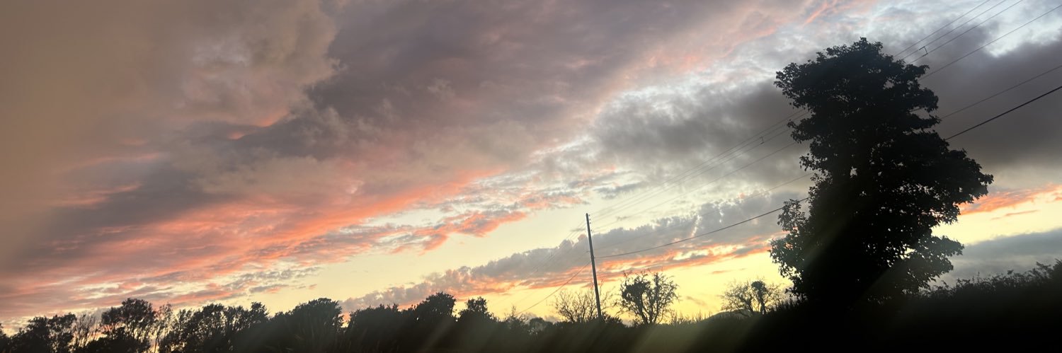 Bzom1's profile banner image